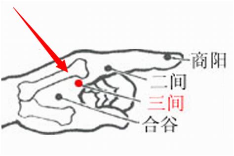 三間穴位置|三間穴